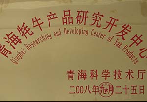 &#20048;&#21160;&#23448;&#26041;&#32593;&#39029;&#29256;&#45;&#20048;&#21160;&#40;&#20013;&#22269;&#41;